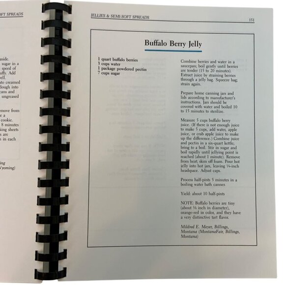 Ball Blue-Ribbon Cookbook First Edition 1992 Spiral Bound Recipe Book - Picture 13 of 15